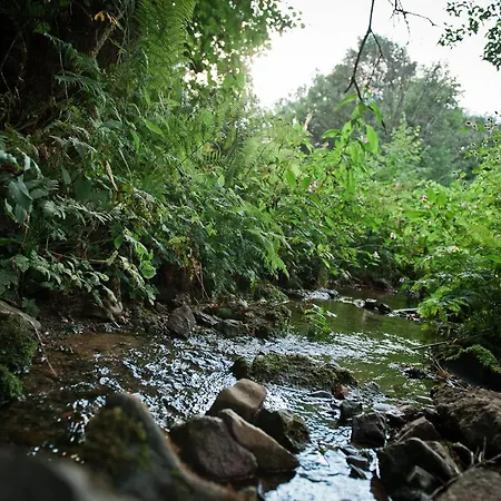 Dom wakacyjny Sleep Space 23 - Tiny Village Harz Osterode am Harz