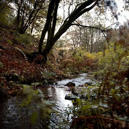 Sleep Space 23 - Tiny Village Harz *