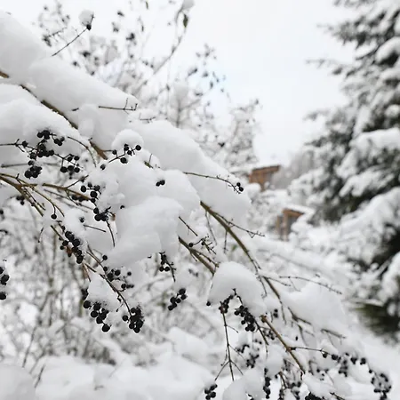Sleep Space 23 - Tiny Village Harz * Osterode am Harz